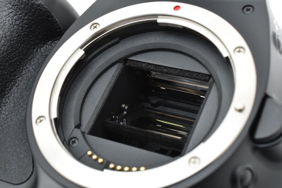 ★美品★ショット数2234枚 キヤノン EOS KISS X4 #1312