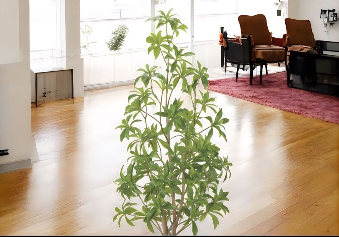 光触媒　観葉植物　ウォールグリーン　フェイクグリーン　フレッシュアセビ1.35