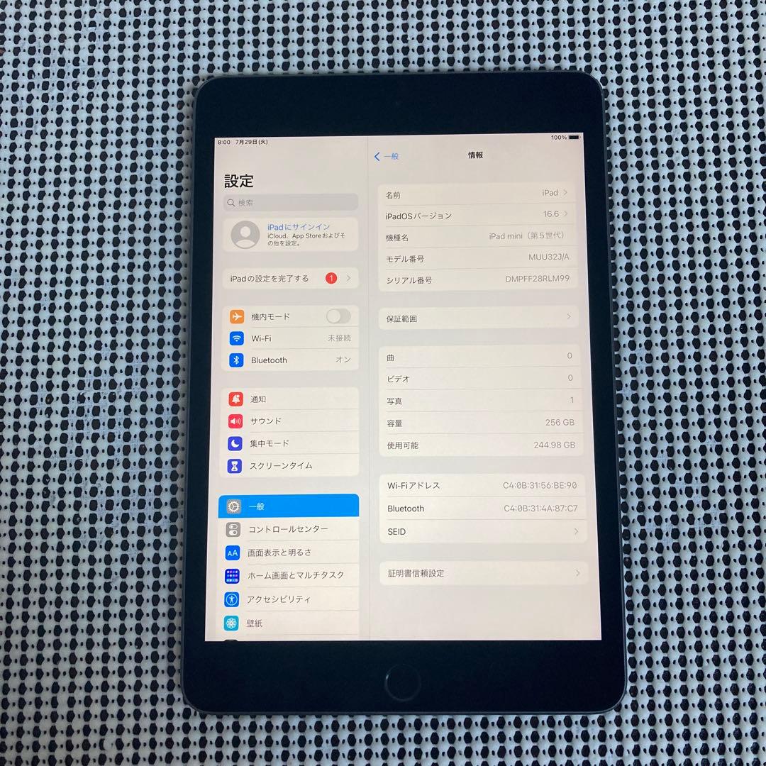 2381【早い者勝ち】iPad mini5第5世代 256GB WIFIモデル☆