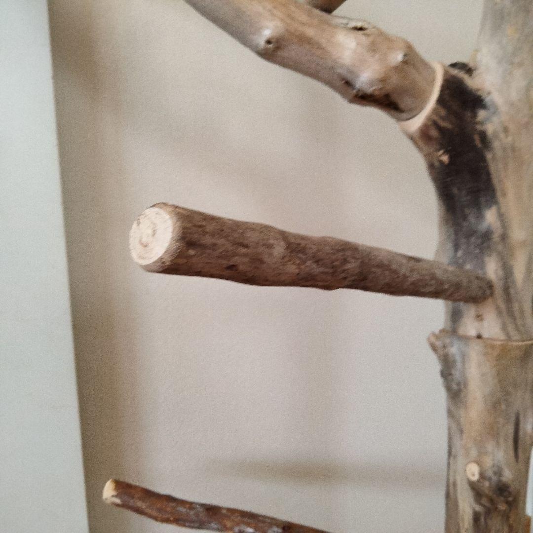 ocean バードアスレチックジム 天然木 自然木 流木 止まり木 インコ