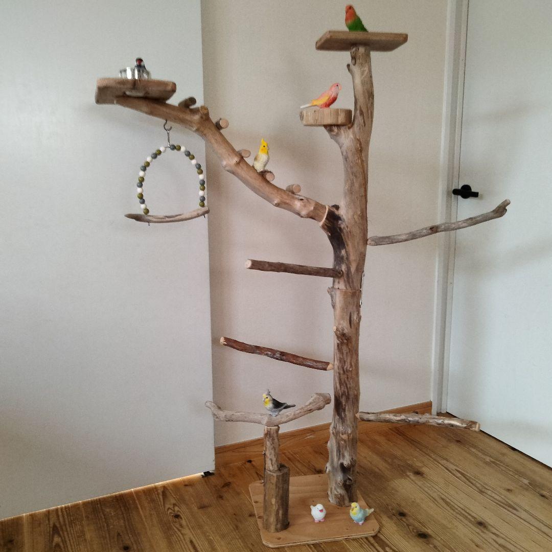 ocean バードアスレチックジム 天然木 自然木 流木 止まり木 インコ