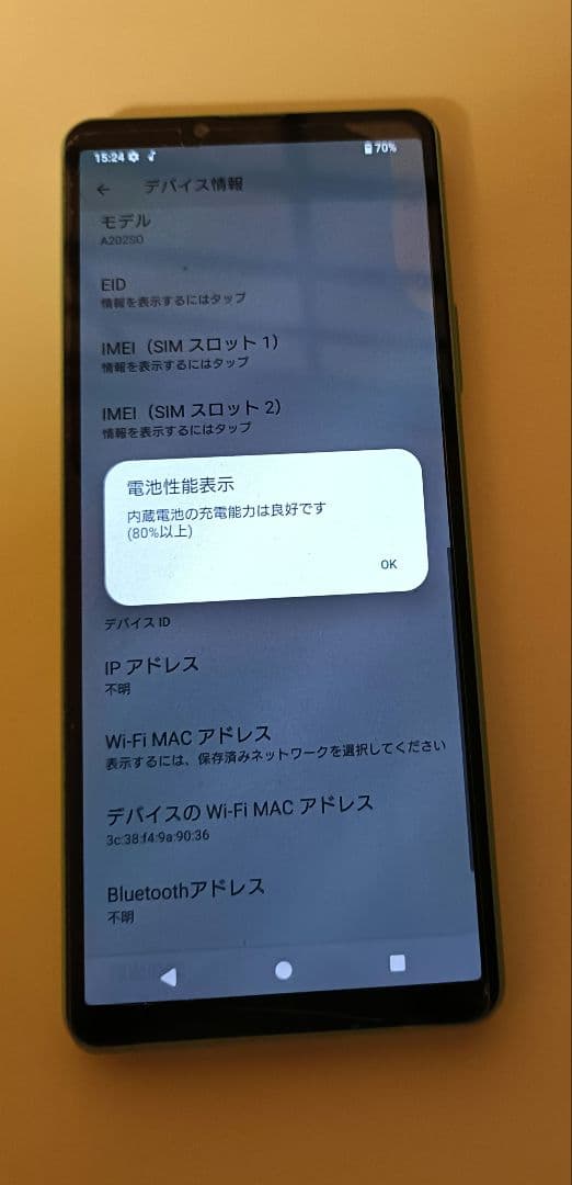 SONY Xperia 10 IV ミント 本体
