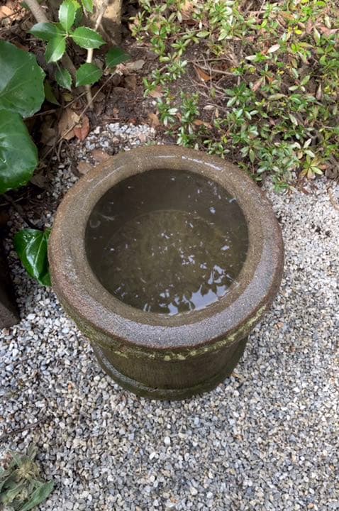 【縁先手水鉢・蹲】造園水石飾り石ガーデニングバードバス箱庭