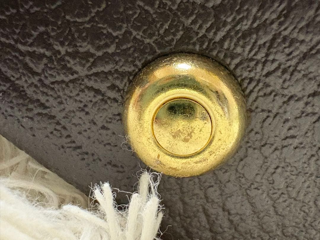 Taylorエレアコハードケース付き　412cerosewood v-class