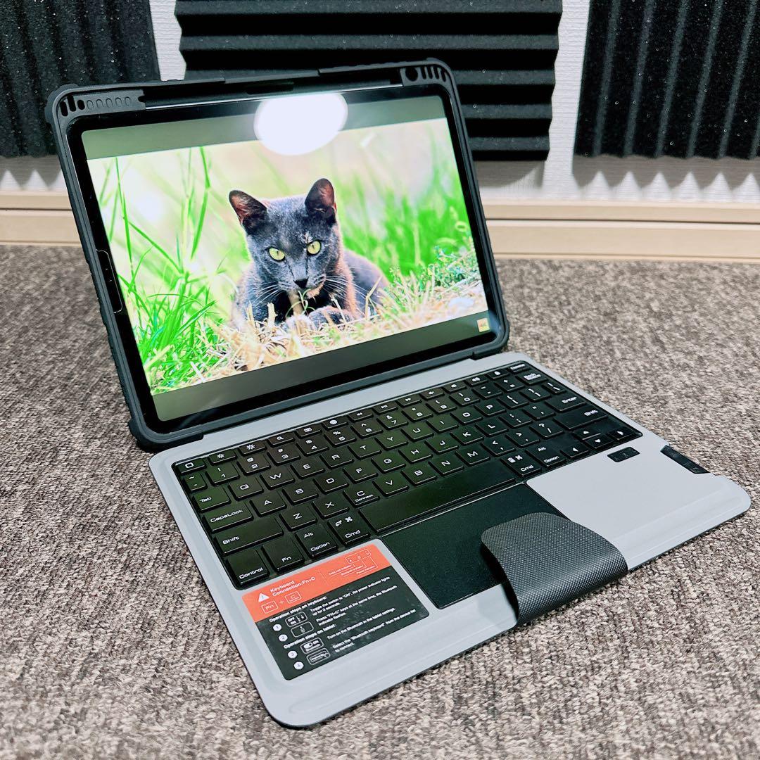 美品 iPad Pro 11インチ第3世代wifi + cellular本体のみ