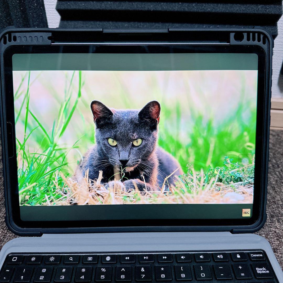 美品 iPad Pro 11インチ第3世代wifi + cellular本体のみ