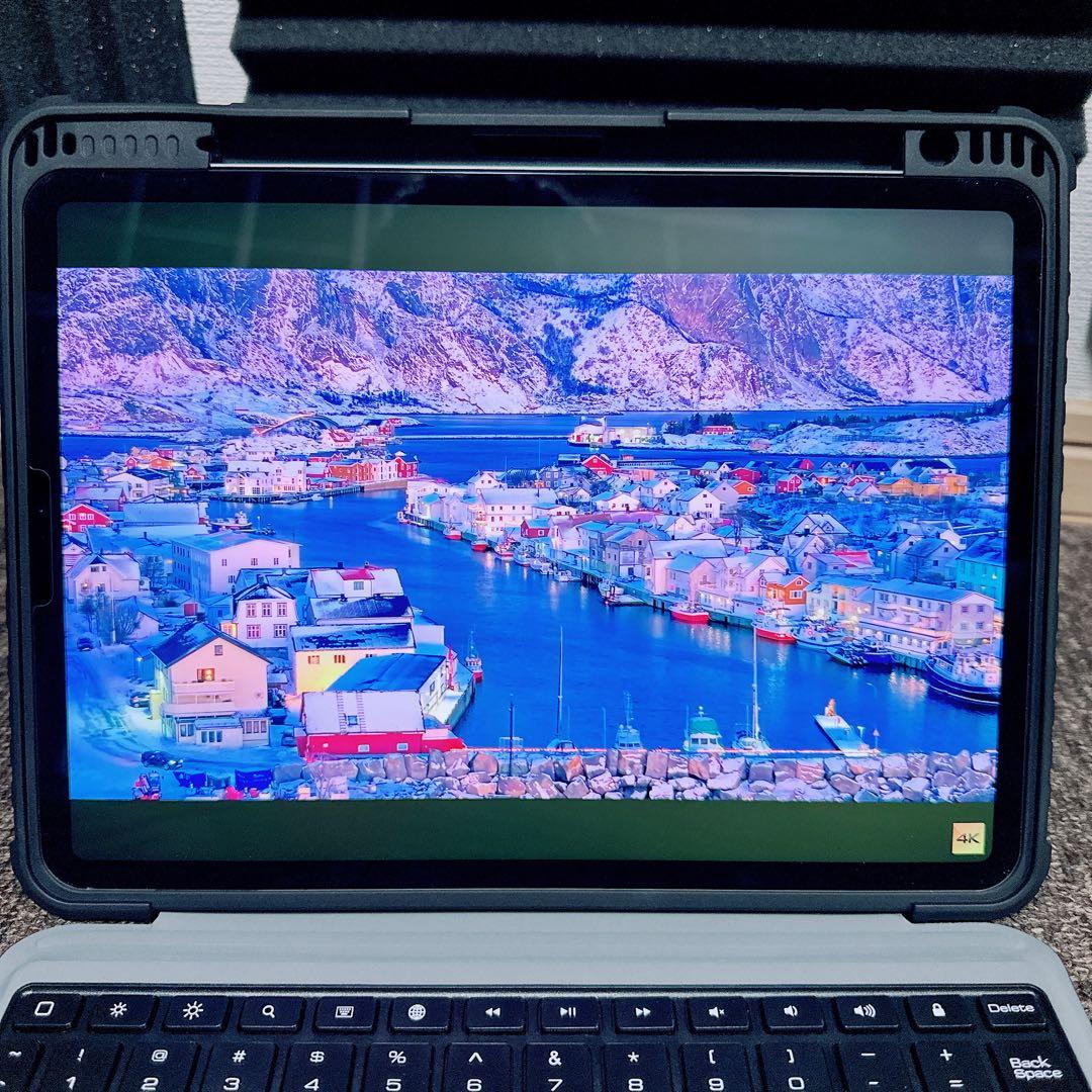 美品 iPad Pro 11インチ第3世代wifi + cellular本体のみ