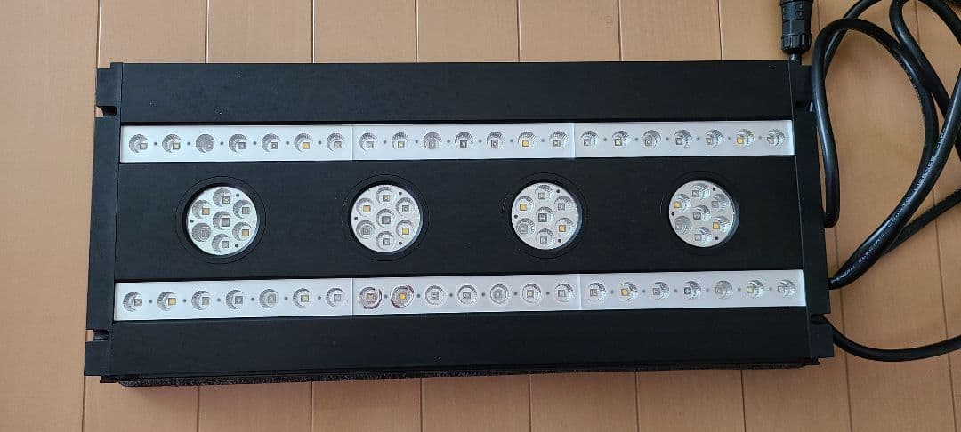 スペクトラ　ＳＰ２００ ブラック