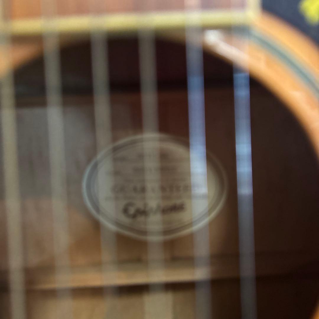 エピフォン DOVE-NA