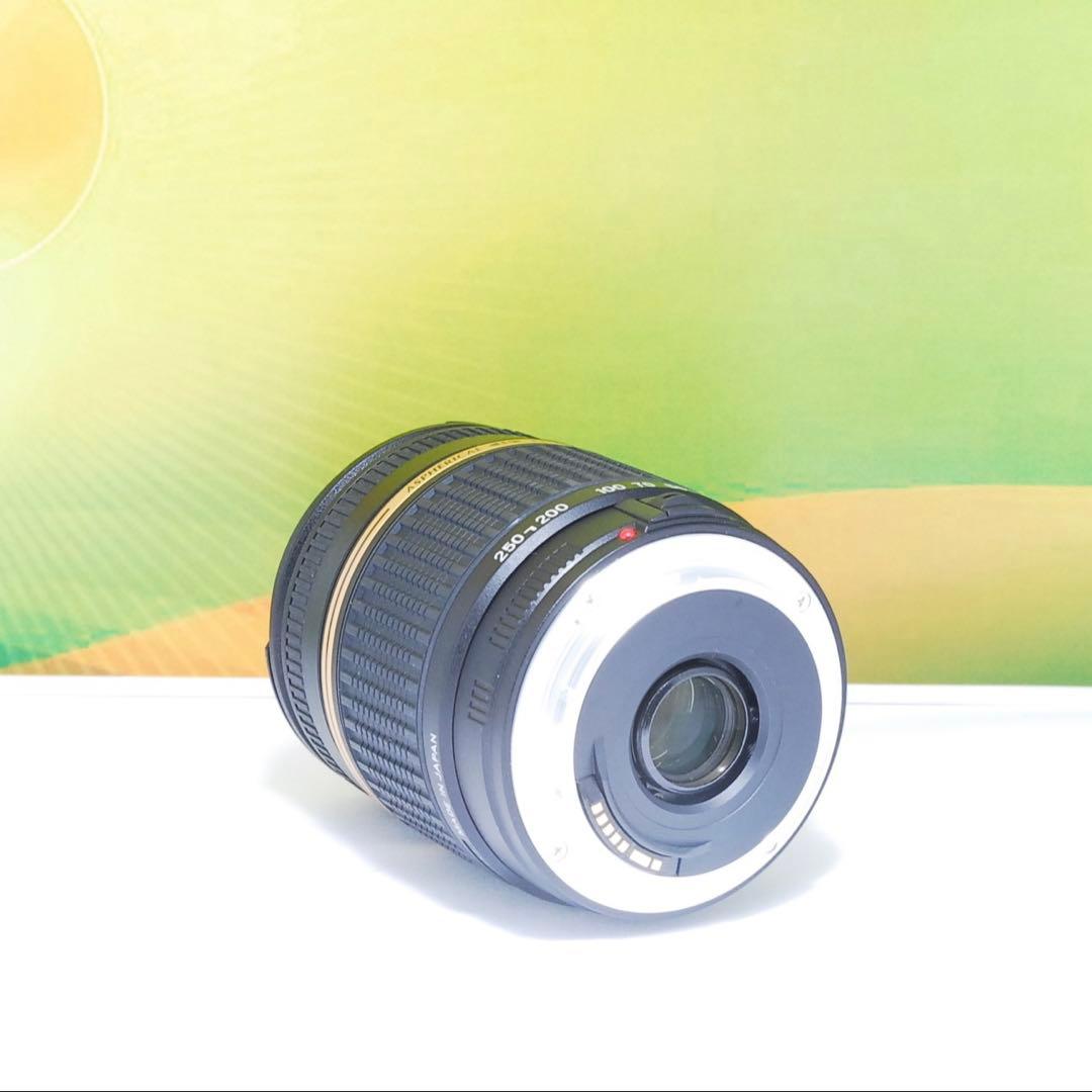 美品✨TAMRON AF 18-250mm F3.5-6.3 A18 Canon