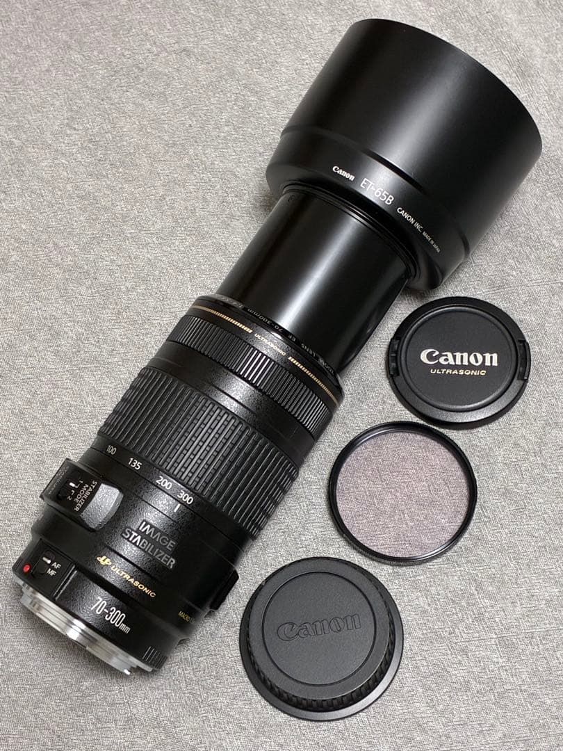 ⭐️極美品⭐️ Canon EF 70-300mm F4-5.6 IS USM 望遠