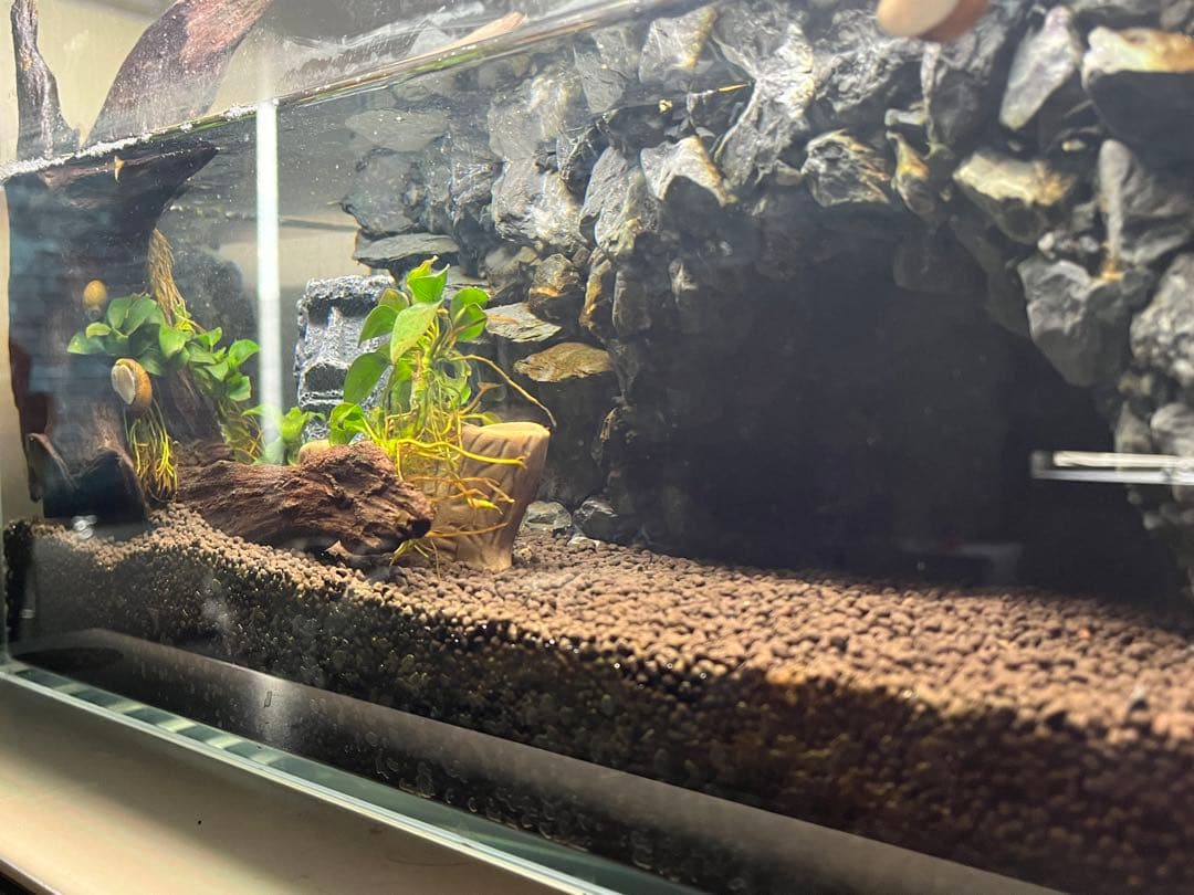 イモリウムセット　小川付　50×30×30