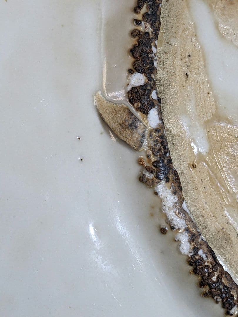 ♦中国陶磁 猿草花文 呉州手 染付大皿 明時代末 漳州窯 青花磁器 古美術骨董品