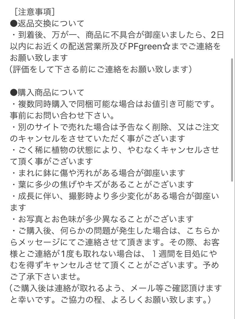 ［現品］【希少】H モンステラデリシオーサ　斑入り　レア　観葉植物　室内　大型
