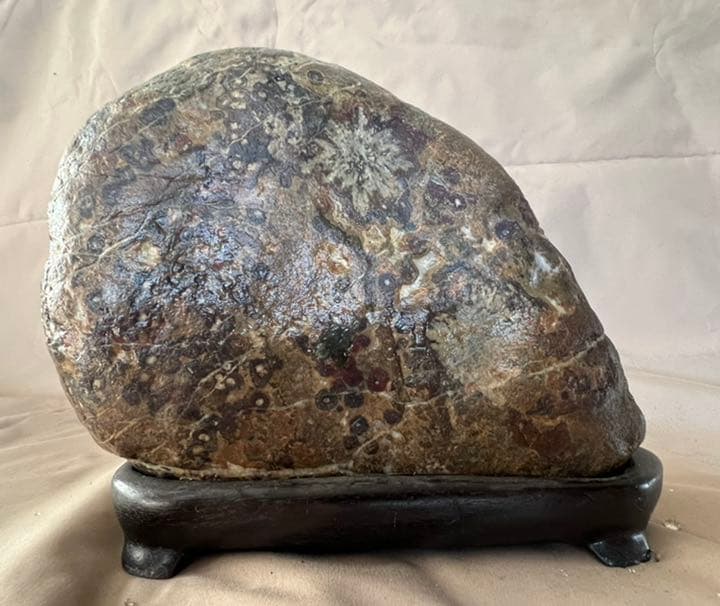 岐阜県根尾谷の天然菊花石＆紅孔雀石