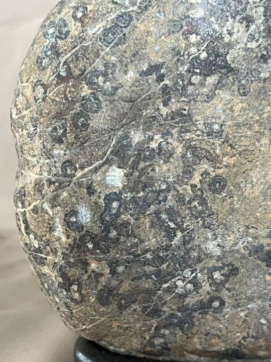 岐阜県根尾谷の天然菊花石＆紅孔雀石