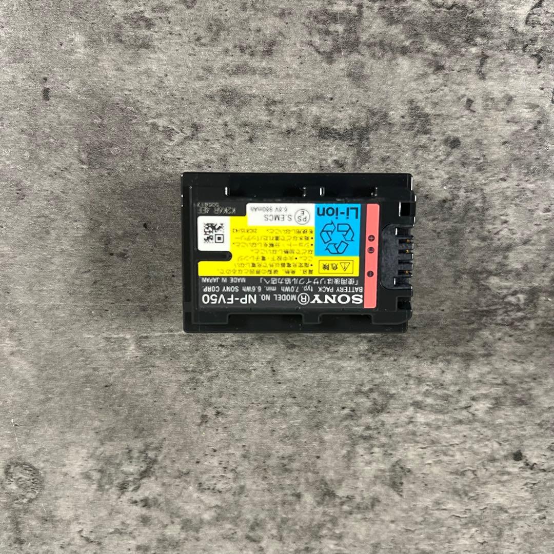 SONY HDビデオカメラ Handycam HDR-CX590V