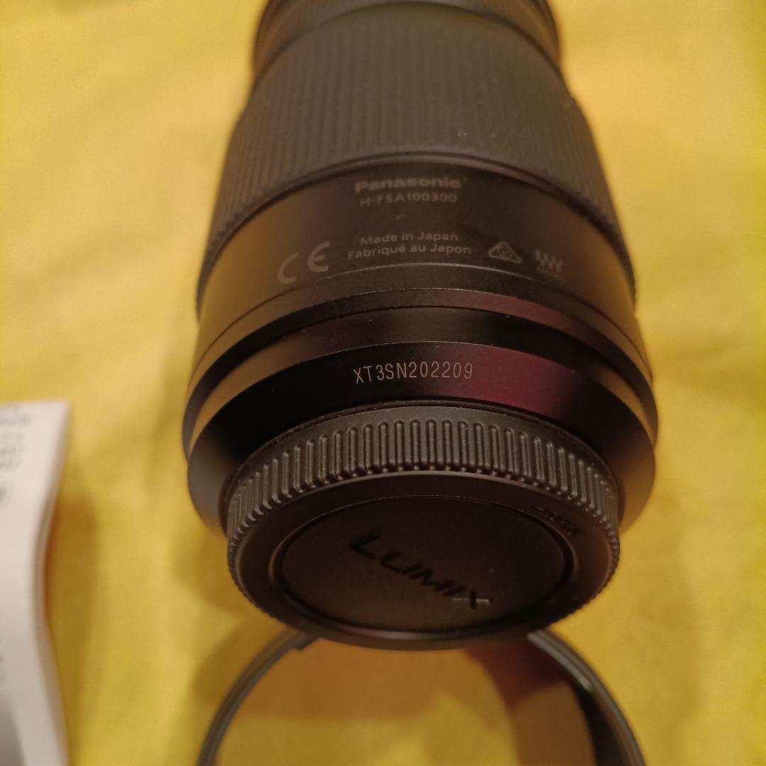 レンズ(ズーム) LUMIX G VALIO 100-300mm F4.0-5.6 II