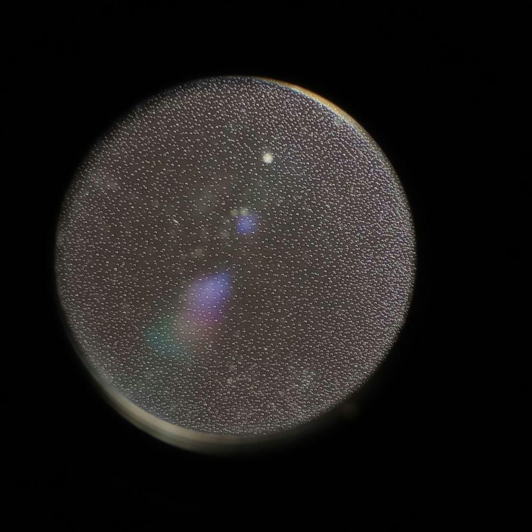 【動作品】minolta X-7/MD ZOOM 35-70mm F3.5 Ⅱ型