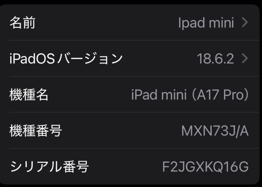 iPad mini 第7世代128GB Wi-Fi ブルー　ケーブル・アダプタ無