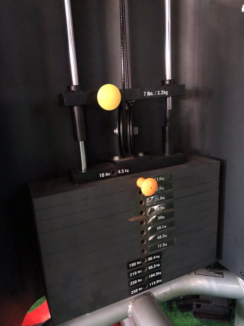 ウエイトトレーニング Pectoral and Rear Delt