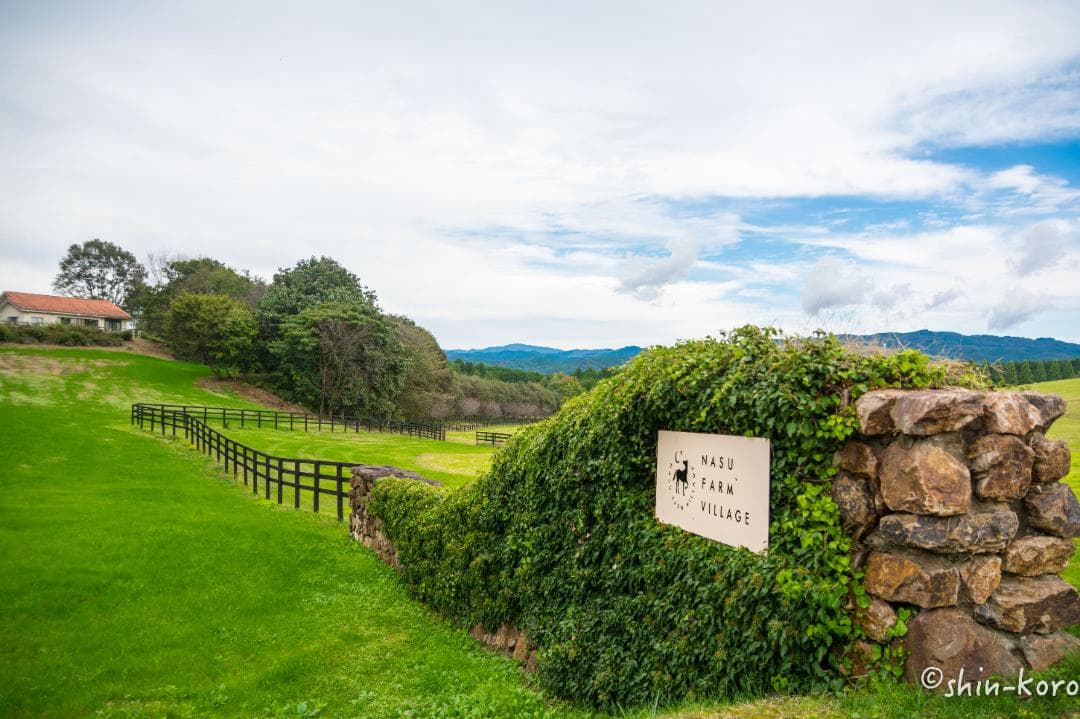 Nikon D5200 デジタル一眼レフカメラ