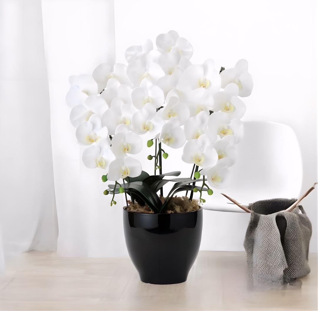 光触媒　人工観葉植物　フェイクグリーン　フレッシュ胡蝶蘭 3本立W