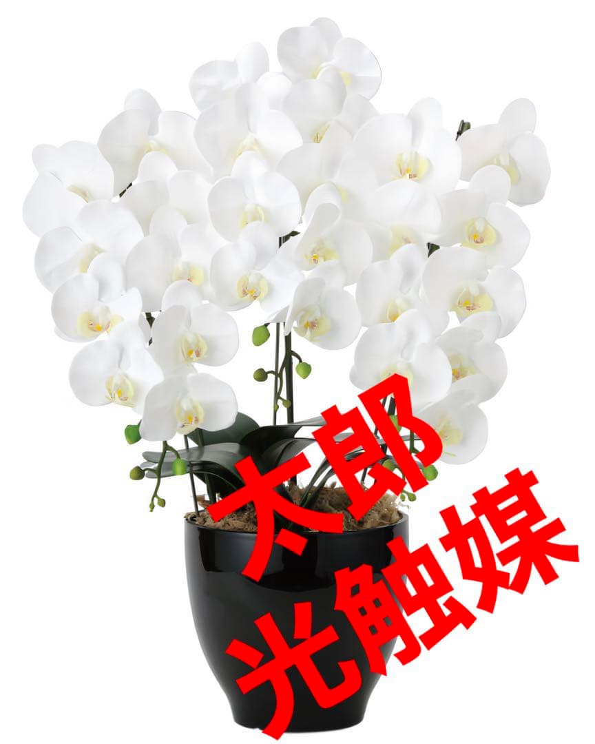光触媒　人工観葉植物　フェイクグリーン　フレッシュ胡蝶蘭 3本立W