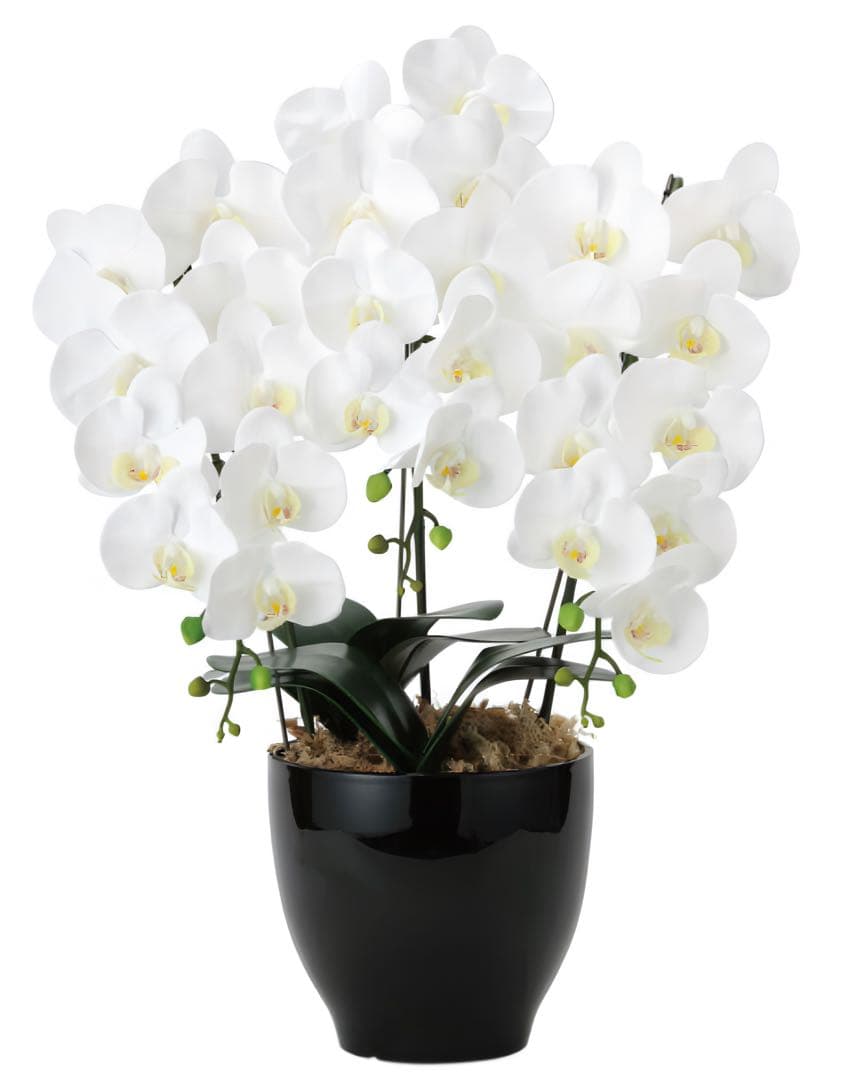 光触媒　人工観葉植物　フェイクグリーン　フレッシュ胡蝶蘭 3本立W