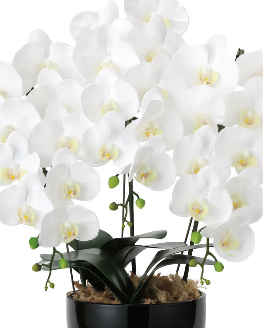 光触媒　人工観葉植物　フェイクグリーン　フレッシュ胡蝶蘭 3本立W