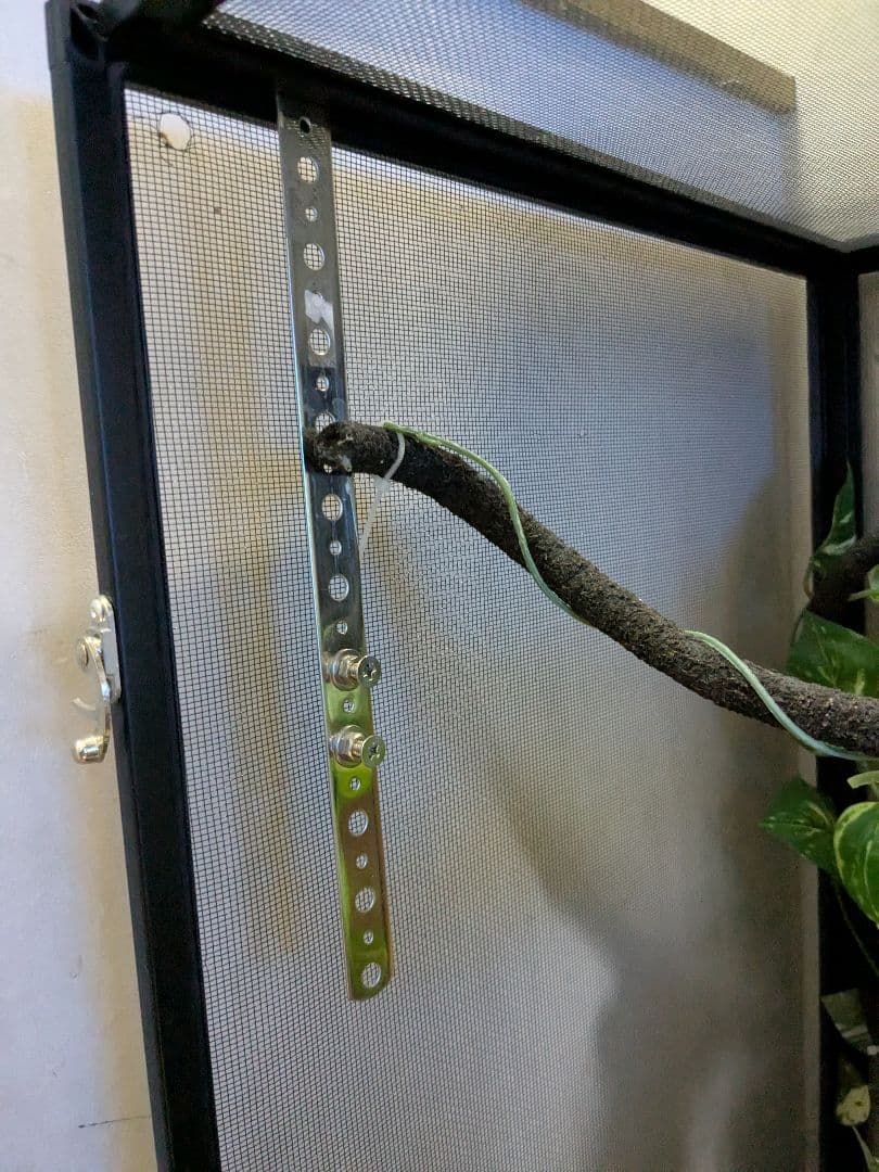 GEX カメレオン飼育１１点セット　エキゾテラスクリーンテラリウム４５９０