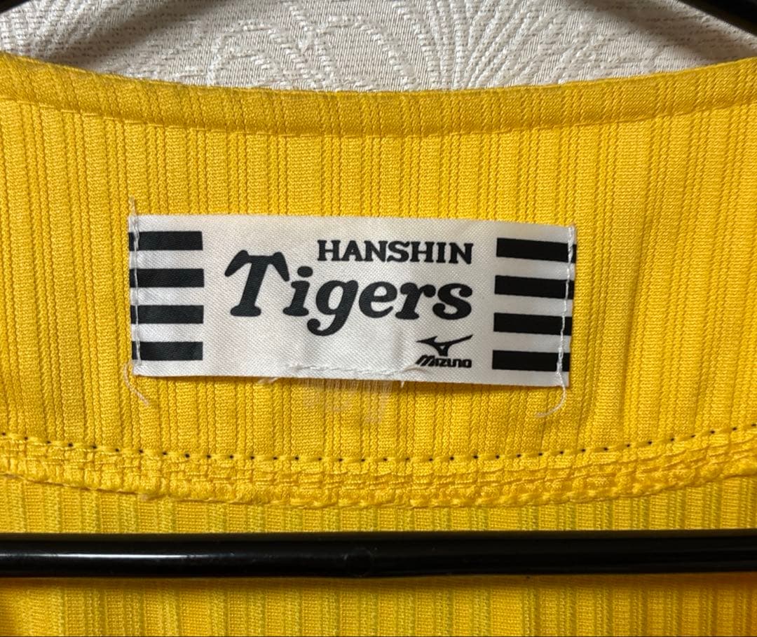 阪神タイガース　横田、梅野、岩崎、岩貞、中谷　2013ドラフト同期or九州人会