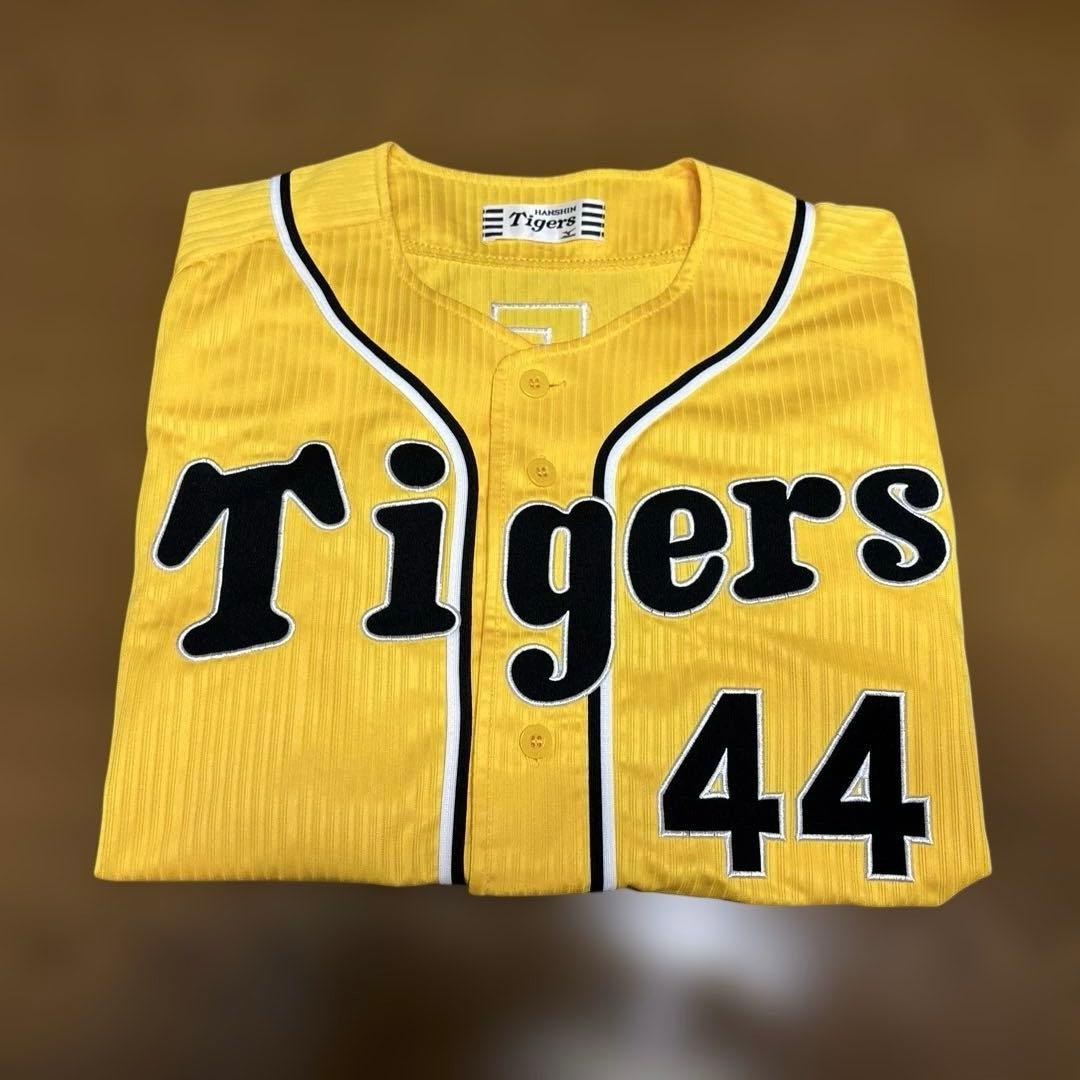 阪神タイガース　横田、梅野、岩崎、岩貞、中谷　2013ドラフト同期or九州人会