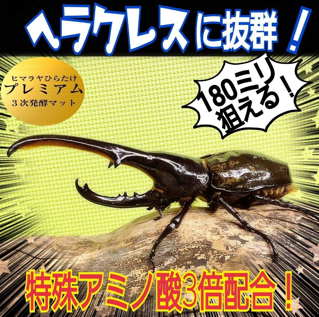 特選！プレミアム3次発酵カブトムシマット【たっぷり6袋】幼虫の餌・産卵に抜群！