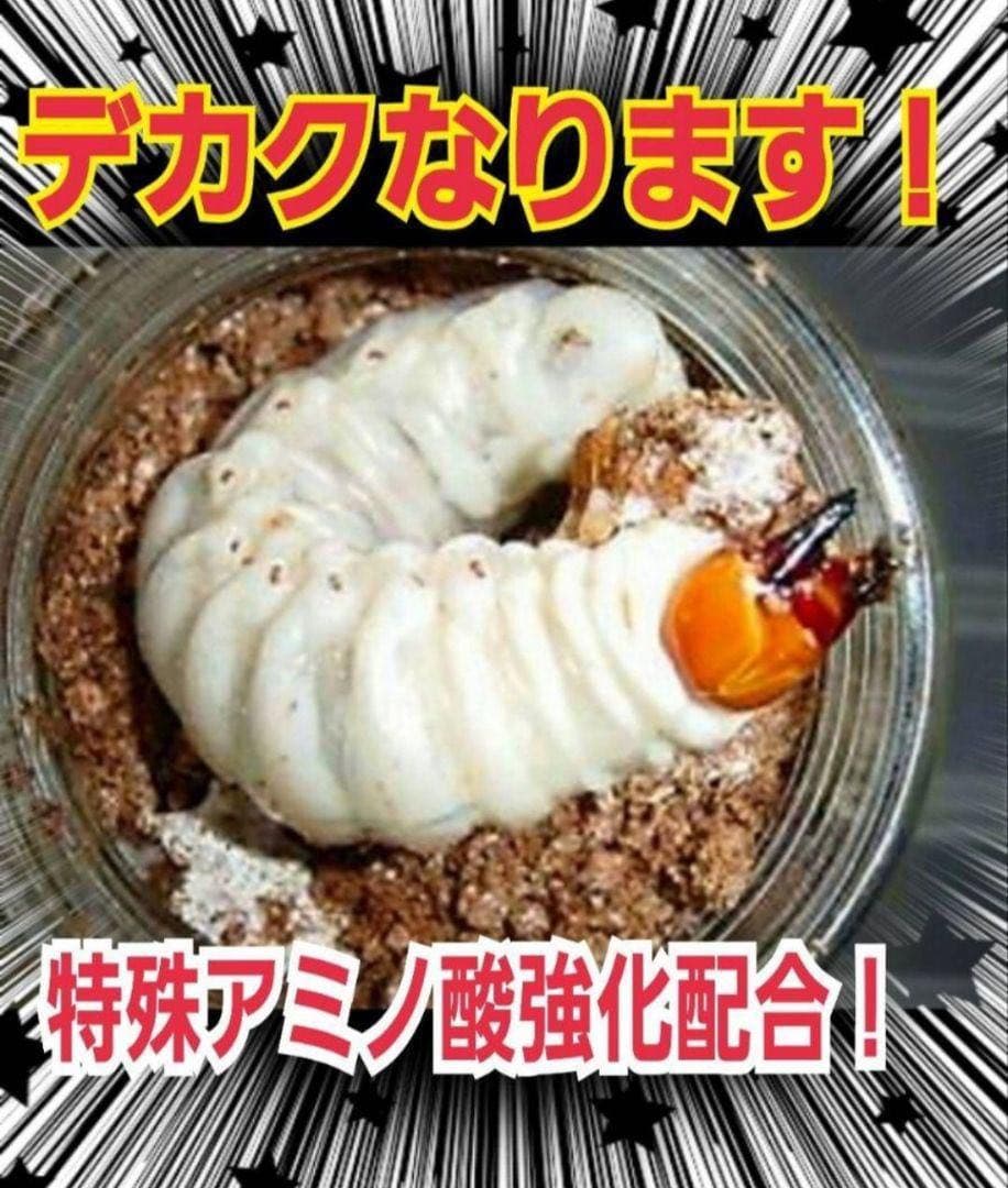 極上！カワラタケ菌糸瓶【9本】特殊アミノ酸強化配合！クワガタ幼虫全般に使えます！