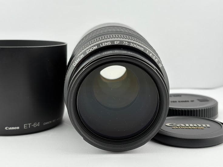 ★美品★キヤノン CANON EF 75-300mm F4-5.6 IS USM