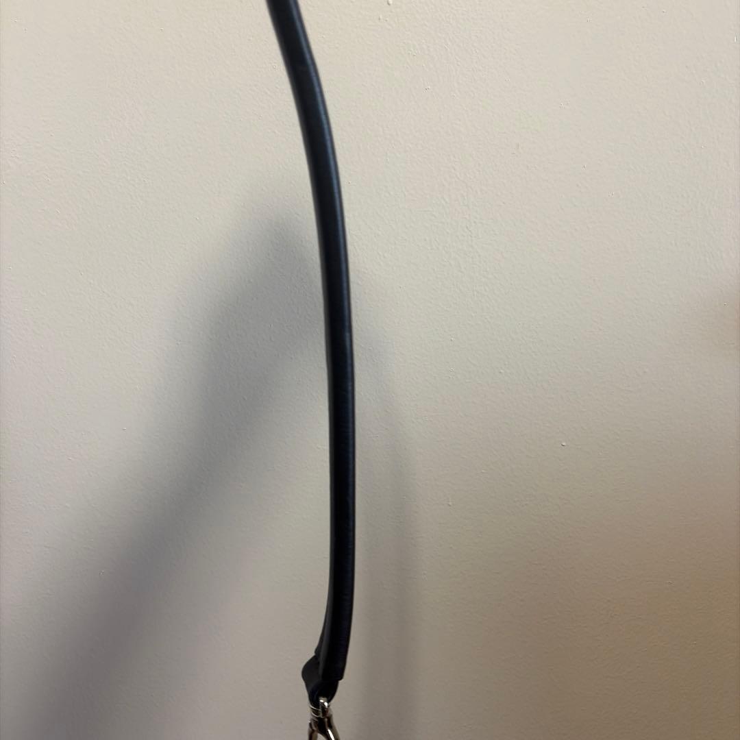 【美品】SALON DE ALFURD レザー　ショルダーバッグ　2way 黒