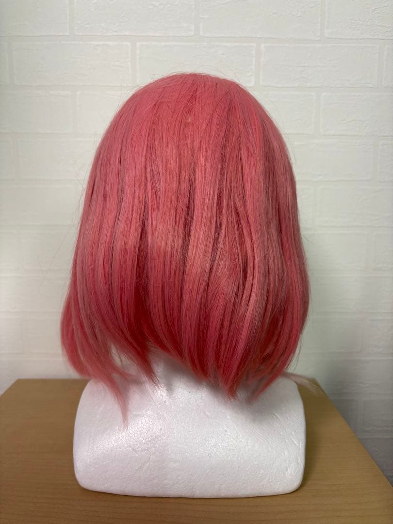 にじさんじ　笹木咲　Lサイズ通常衣装セット ウィッグ付き