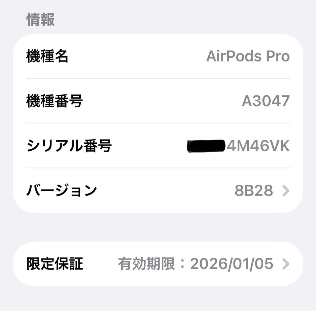 【箱有フルセット】Apple AirPods Pro 第二世代　USB-C