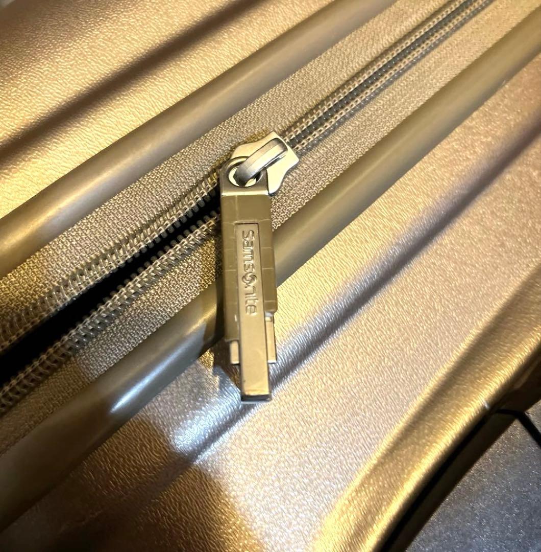 Samsonite グレー キャリーカート TSAロック付き