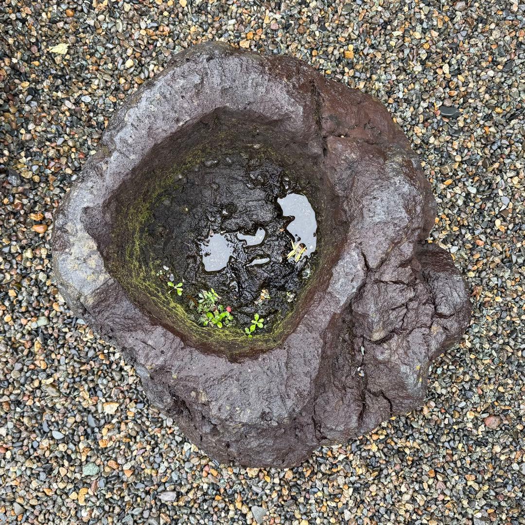 溶岩石の植木鉢、岩鉢。