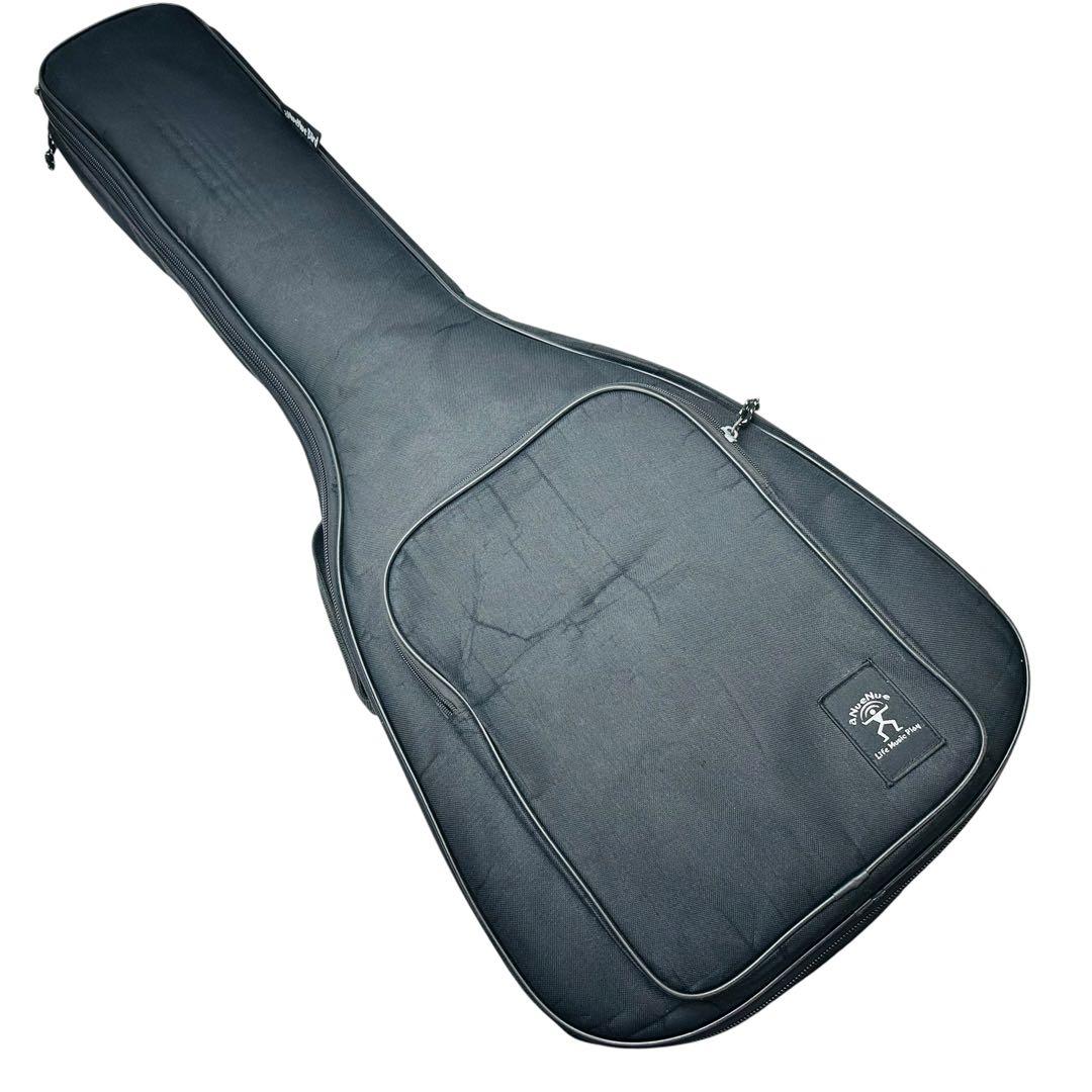 aNueNue aNN-M2 BirdGuitar ミニアコースティックギター