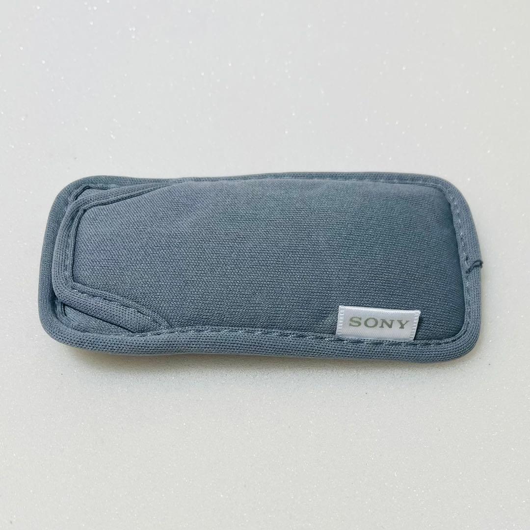 SONY ウォークマン NW-E507 スパークリングシルバー 現状品 ポーチ付