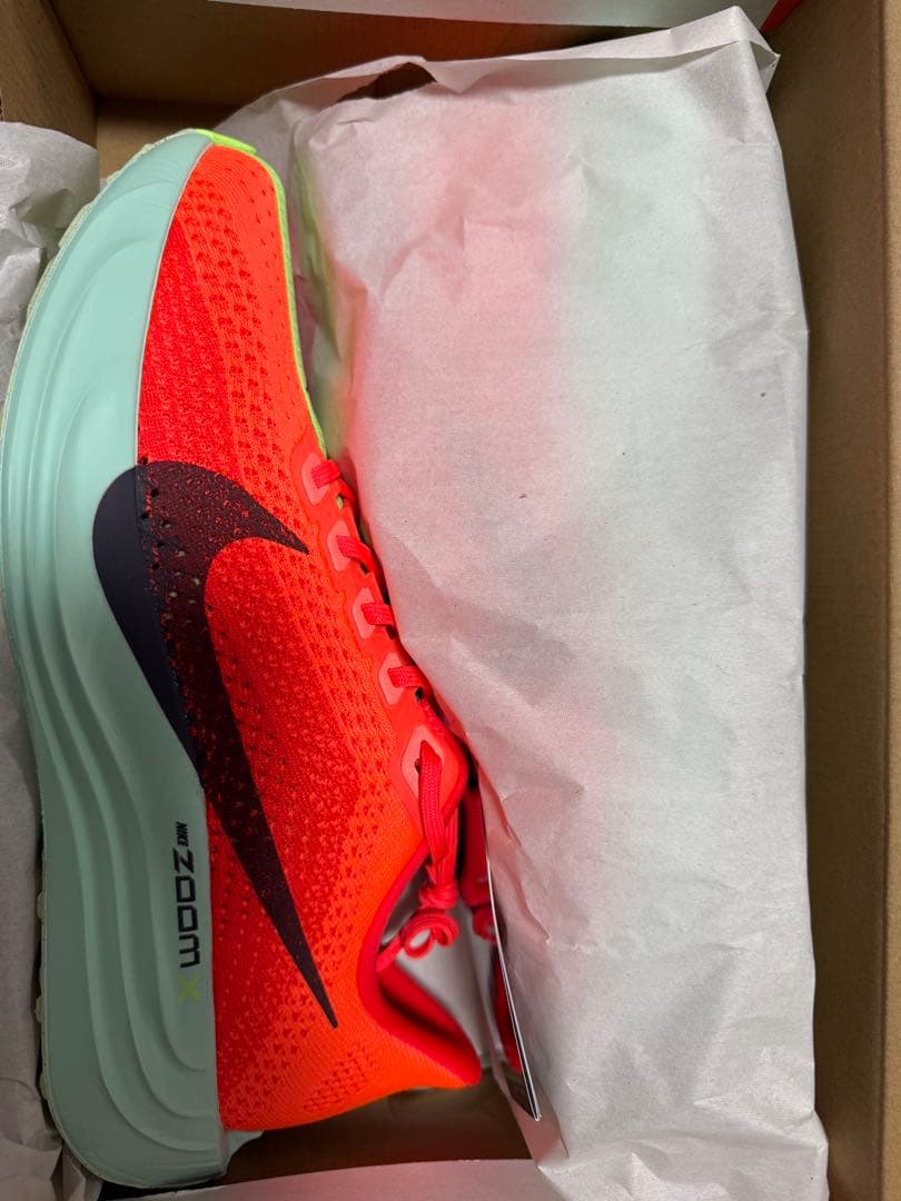 スパイク・シューズ Nike Pegasus Plus 26cm