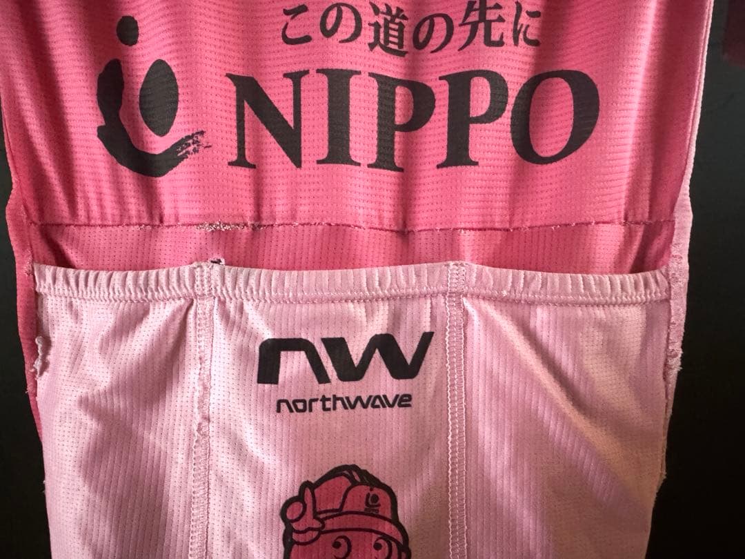 選手支給品 EF Nippo Dev ロードスーツ