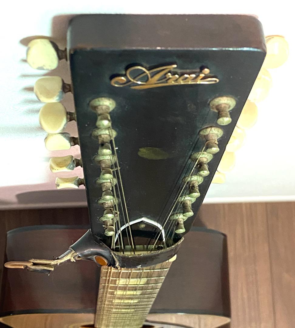 【送料込み】Arai 12弦 アコースティック ギター W100