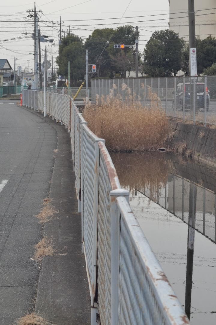 Leica Leitz Elmar 5cm 3.5　マイクロフォーサーズアダプタ