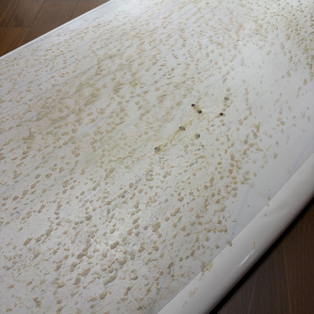 サンタクルーズ サーフボード パンプキン6'4\" ショートボード ファンボード