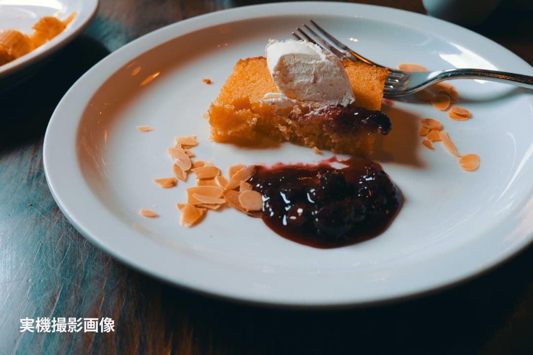 【良美品】LUMIX S9 標準ズームレンズキット 20-60mm｜付属品完備