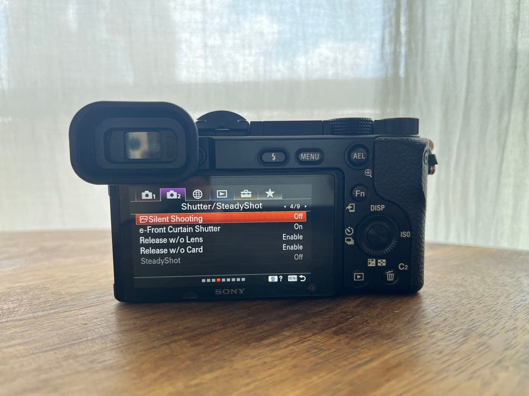 【海外仕様】SONY α6100 ミラーレスカメラ 3本レンズ付き